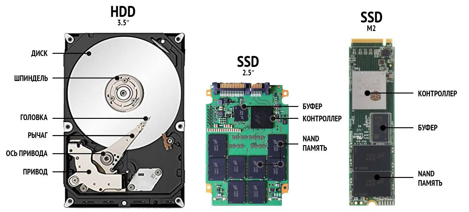 Выбор жесткого диска: HDD или SSD?